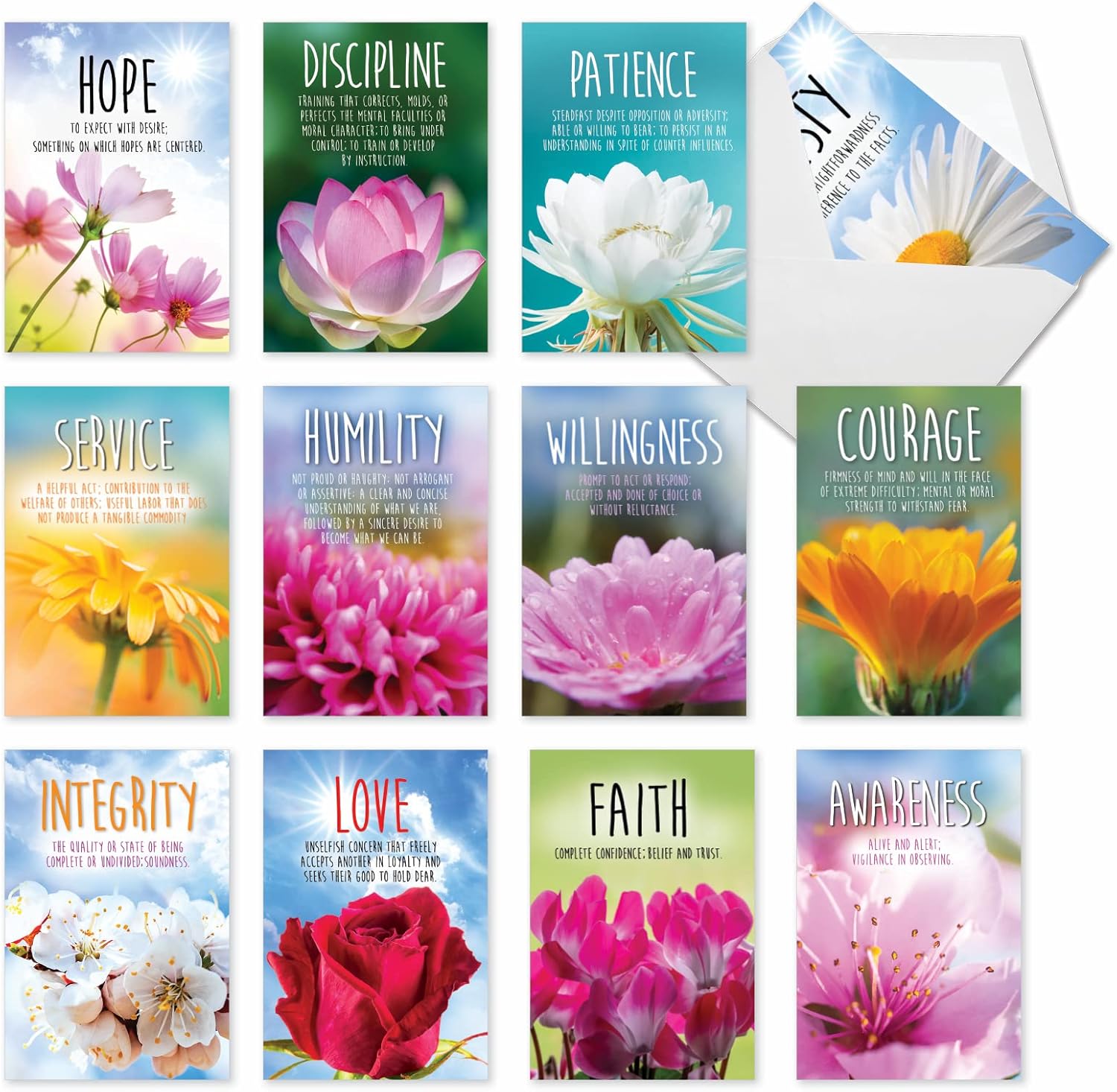 Amakawa Sora - Hành trình vươn tới đỉnh cao của một nghệ sĩ trẻ đầy tiềm năng