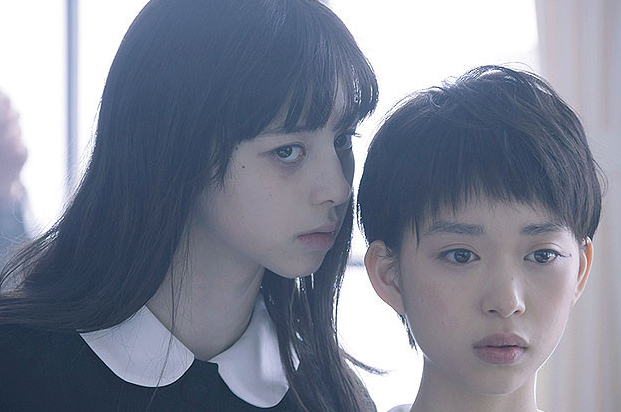 ayami hanh trinh nghe thuat day dam me sang tao va anh huong rong rai 697e7ccf6b437