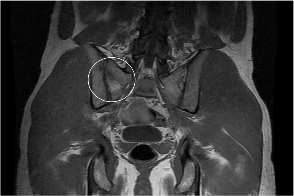 bi an va phong cach rieng cua takasugi mari hanh trinh kham pha va gay anh huong lon trong nghiep doan 697e8669a871b