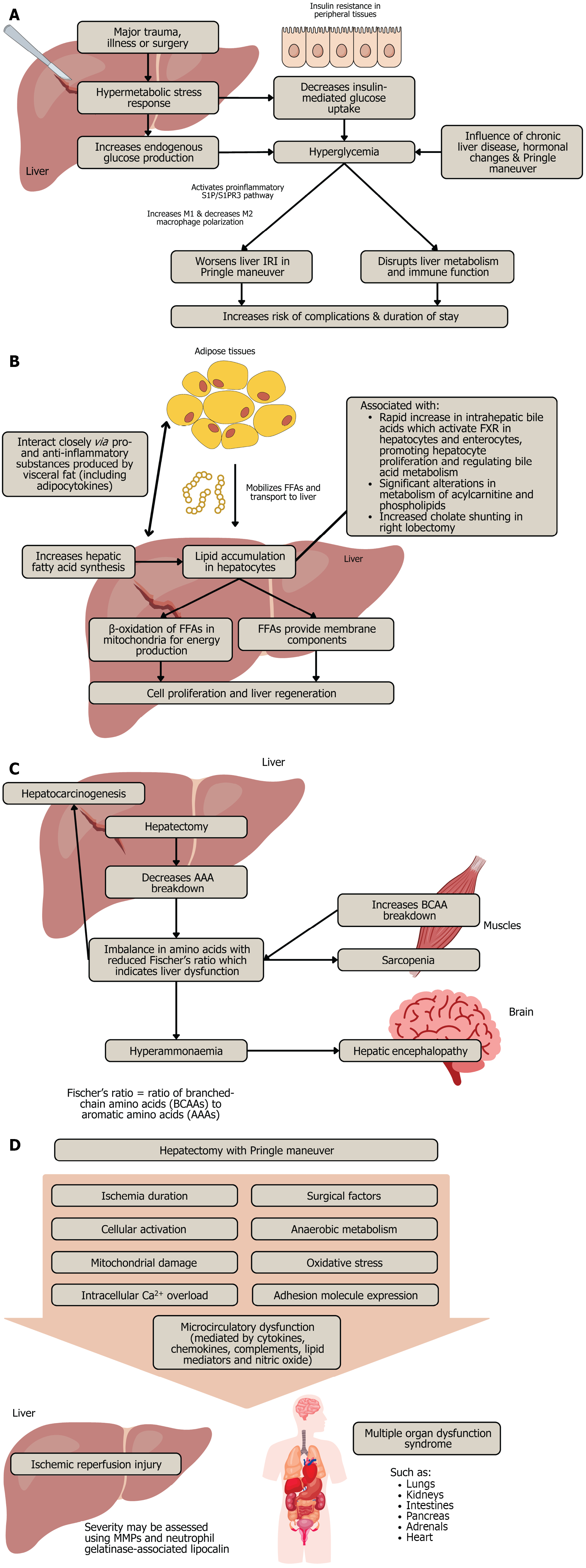 Nanashima Mai - Hành Trình Biểu Diễn Tài Năng Và Những Thành Công Ấn Tượng